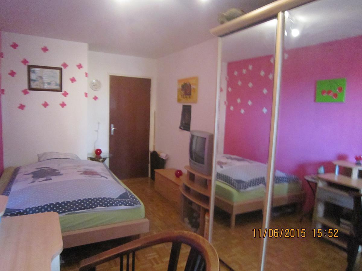 Schoenes Zimmer In Der City Basel Ngoại thất bức ảnh